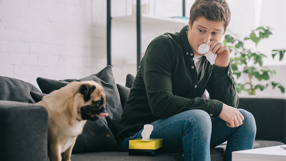 Getting an air purifier is one of the best ways to improve your residence’s indoor air quality. Discover more about the three best products. 